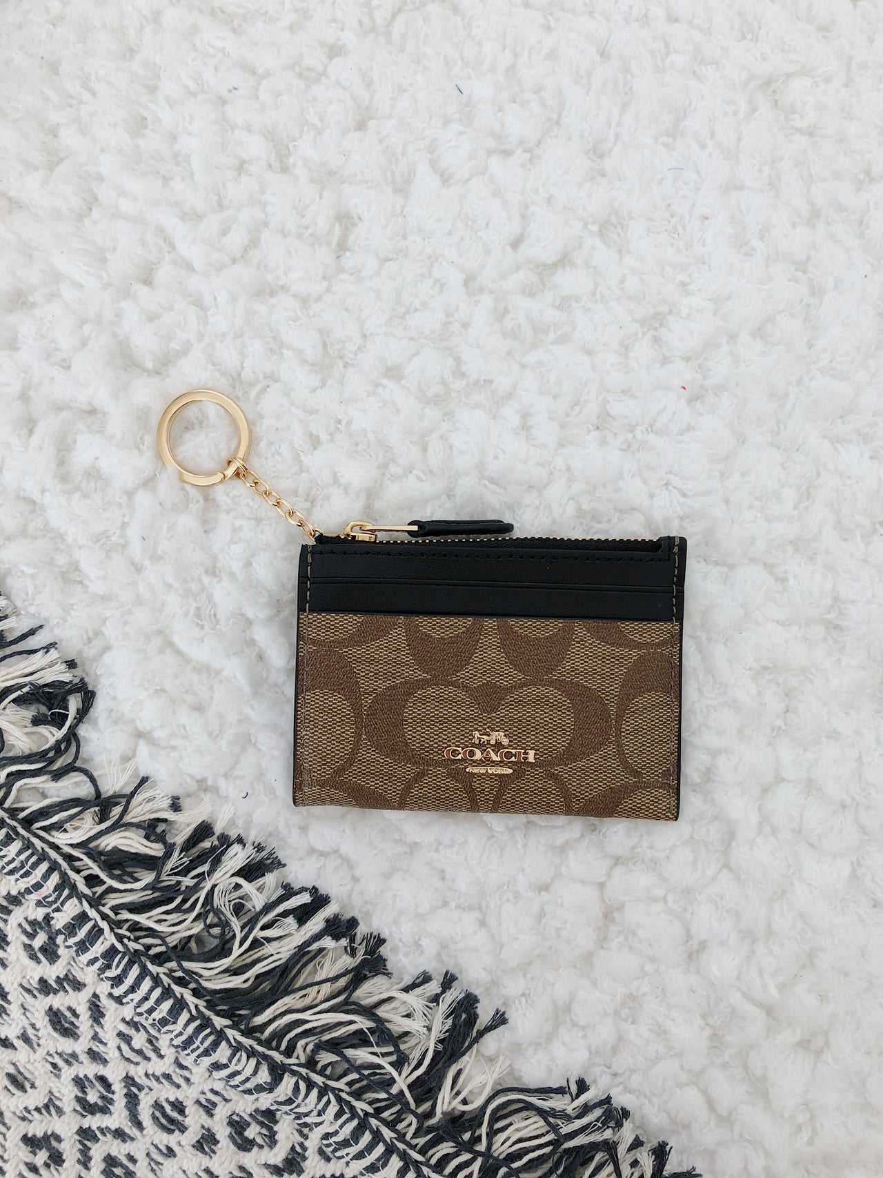 COACH MINI SKINNY ID CASE IN SIGNATURE CANVAS