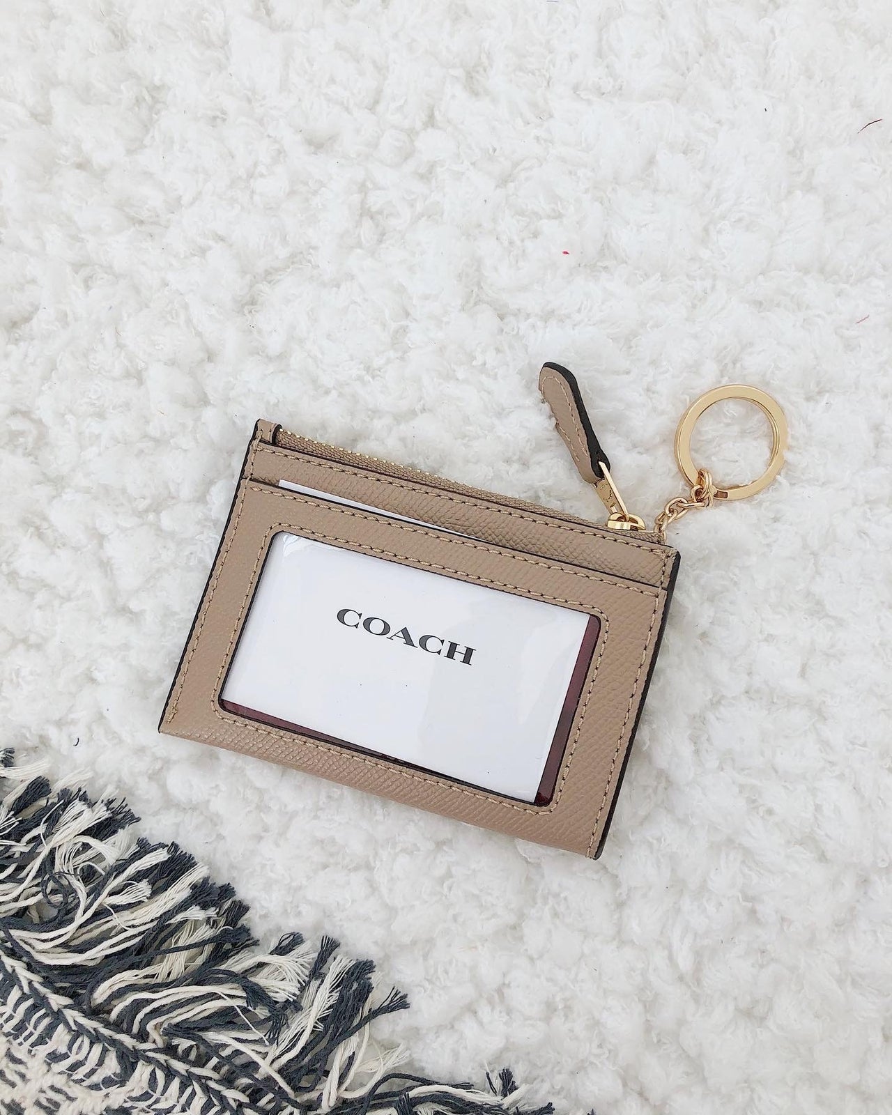 COACH MINI SKINNY ID CASE IN SIGNATURE CANVAS