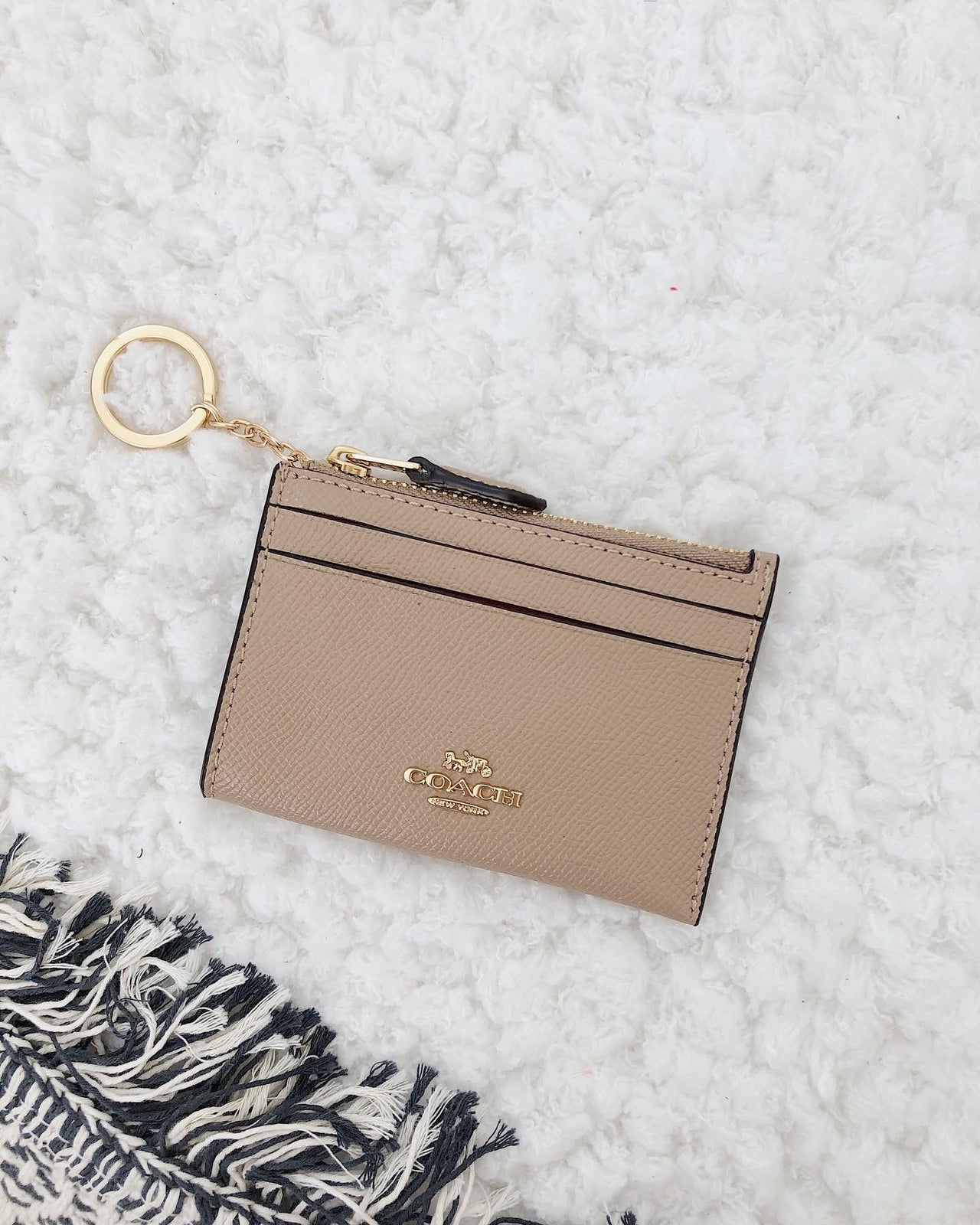 COACH MINI SKINNY ID CASE IN SIGNATURE CANVAS