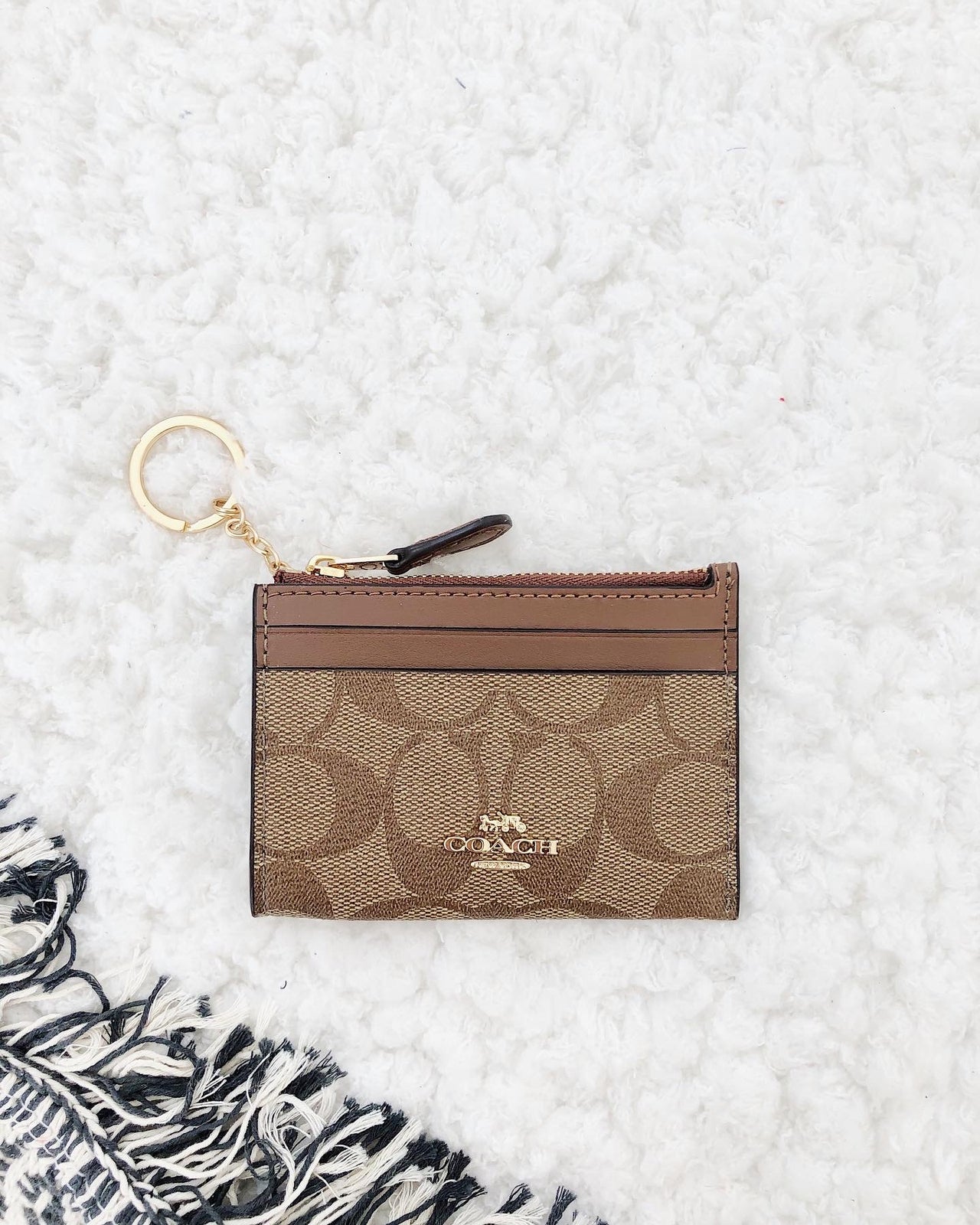 COACH MINI SKINNY ID CASE IN SIGNATURE CANVAS